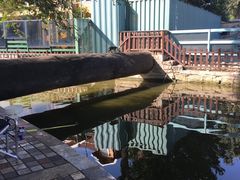 -酷鱼垂钓CLUB(朝阳区博大路店 )