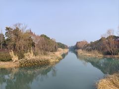 -贡湖湾湿地公园