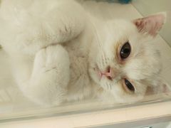 -沐沐家宠物(成寿寺店)