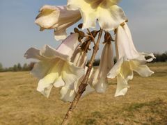 -汉长安城未央宫国家考古遗址公园