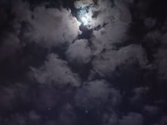 -济南海鲜大市场
