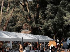 -南宁良凤江国家森林公园