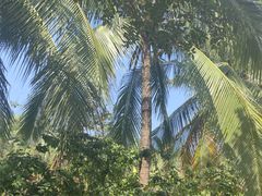 -白沙门生态公园