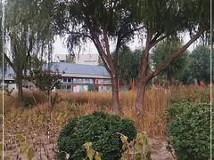 -廊坊文化艺术中心