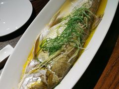 -金枝玉叶上海人家食府(三里河店)