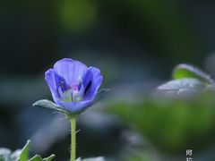 -尚贤河湿地