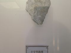 -辽宁古生物博物馆