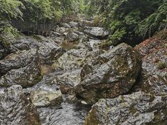 -龙苍沟森林公园