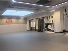 -EFL巴西柔术·综合格斗·泰拳·少儿体能训练(虹桥德必馆)