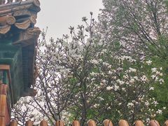 -沈阳植物园