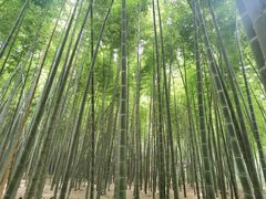 -同里国家湿地公园