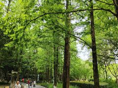 -苏州河梦清园环保主题公园