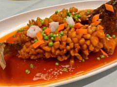 -老吉士酒家(天平路店)