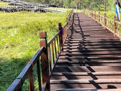 -莫尔道嘎国家森林公园