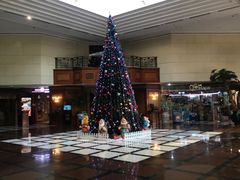 -汇泉王朝大饭店