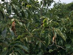 -蟠龙山长城景区