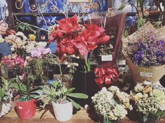 -芭缇沁园椰子鸡(中航紫金新天地店)