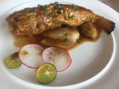 -梧桐餐厅(泉城路店)