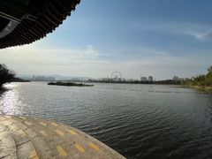 -庾园