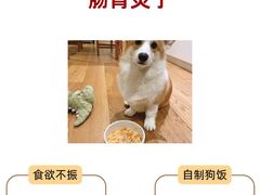 -萌兽医馆·绝育·24小时内科·宠物医院(德胜店)