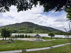 -风云岭森林公园