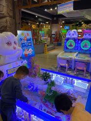 -卡通尼·Safari非洲探索乐园·生日会(金桥国际商业广场店)