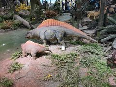 -湖南省地质博物馆