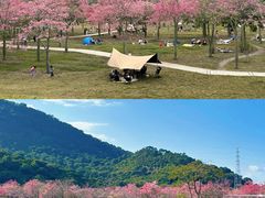 -风云岭森林公园