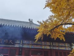 -红螺寺