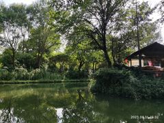 -西溪国家湿地公园