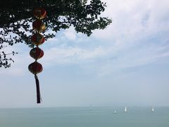 -七鲜渔港美食餐厅(巽寮湾海景店)
