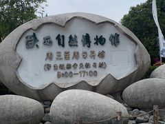 -陕西自然博物馆