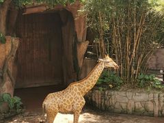 -长鹿旅游休博园