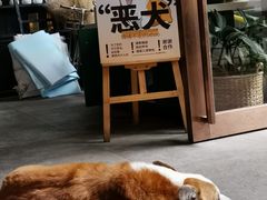 -771餐吧·咖啡·西餐·烤肉(金湖广场店)