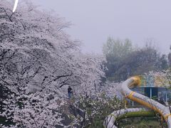 -杭州少年儿童公园