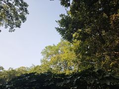-南京市江宁方山