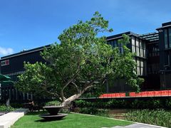 -星巴克(深圳前海企业公馆店)