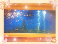 -鹏天阁酒楼·海鲜(红旗店)