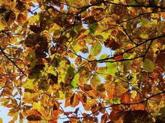 -终南山南五台景区