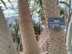 -北京植物园-展览温室