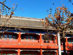 -北京石刻艺术博物馆(五塔寺)