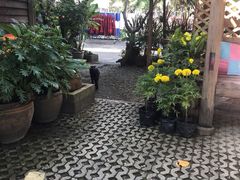 -清迈女子监狱马杀鸡(无分店)