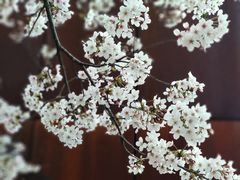 -龙美术馆(西岸馆)