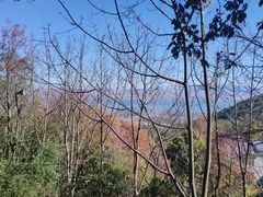 -苍山感通索道