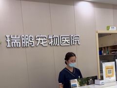 -瑞鹏宠物医院·骨外科·心肾科·肿瘤科(九亭店)
