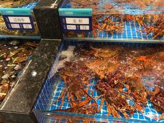 -东海怡品海鲜豆捞(舟宿夜江店)