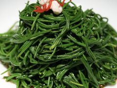 -蒙料·手把肉(望京店)