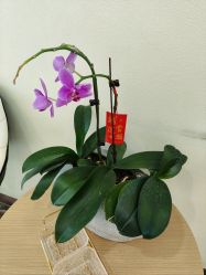 -贝爱时刻月子中心(宝安妇幼店)