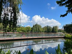 -四海公园(南山区)