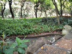 -黄埔荔枝公园